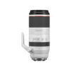 Canon RF 100-500mm f/4.5-7.1L IS USM Lens