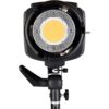 Godox SL-200 LED Video Light (Tungsten-Balanced)