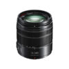 Panasonic Lumix G Vario 14-140mm Lens