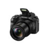Panasonic Lumix DMC-FZ2500 Digital Camera