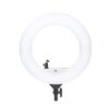 Simpex LED 522 Ring Light 18 inch Studio Lighting with Phone Holder