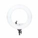 Simpex LED 522 Ring Light 18 inch Studio Lighting with Phone Holder