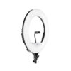 Simpex LED 522 Ring Light 18 inch Studio Lighting with Phone Holder