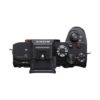 Sony Alpha a7S III Mirrorless Digital Camera (Body)