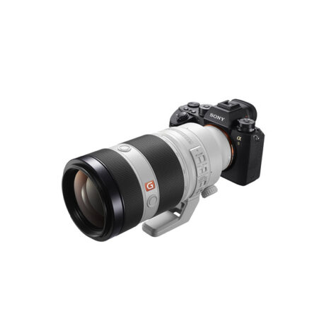 Sony FE 100-400mm F4.5-5 Sony FE 100-400mm F4.5-5.6 GM OSS