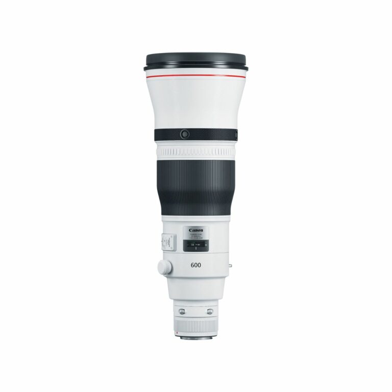 Canon EF 600mm f/4L IS...