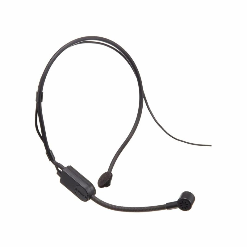 Shure PGA31 Cardioid Headset Microphone Online Buy India 01