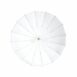 Profoto 65 Deep White Umbrella XL (165cm) Online Buy India 03