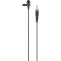 Sennheiser XSW-D Portable ENG Set (2.4 GHz)