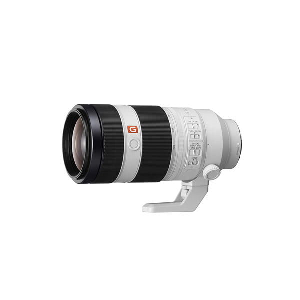 Sony FE 100-400mm F4.5-5 Sony FE 100-400mm F4.5-5.6 GM OSS