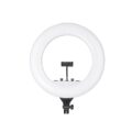 Digitek Platinum DPRL 19RT Professional LED Ring Light Online Buy Mumbai India 01