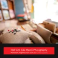 Panasonic Leica DG Summilux 9mm f1.7 ASPH Lens 4